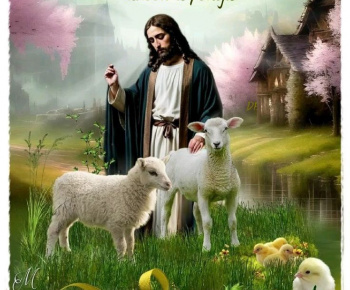 Aktuality / POŽEHNANÉ VEĽKONOČNÉ SVIATKY - foto