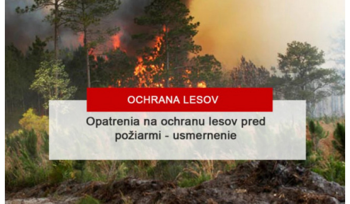 opatrenia na zabezpečenie ochrany lesov pred požiarmi