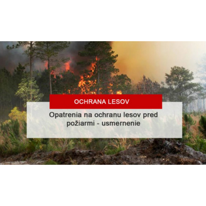 opatrenia na zabezpečenie ochrany lesov pred požiarmi
