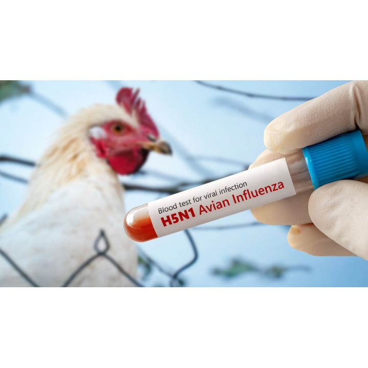 opatrenia na zvýšenie biologickej ochrany v chovoch hydiny